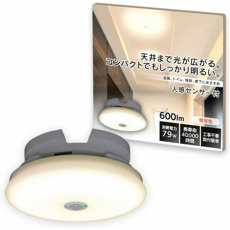 ��2�ĥ��åȡۥ�����󥰥饤�� ���� �ʹ����󥵡� ���� 600lm �ʹ����󥵡��� SCL6LMS-UU �ŵ忧 SCL6NMS-UU ���� SCL6DMS...