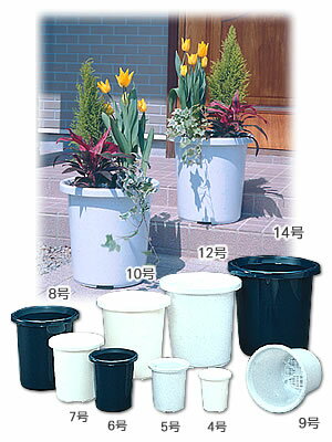 観葉植物など、背丈のある植物に最適。 フランジ部の傾斜がすっきりしているので植物を一層引き立てます。 鉢底は上げ底メッシュ構造なので、通気性、排水性に優れ、根ぐされを防止します。 ■サイズ(cm)：約直径18.4×高さ19.5 ■土の容量：2.9L ■主要材質：ポリプロピレン 鉢受皿中深型6号はこちら 鉢受皿深型6号はこちら 楽天HC プランター PC用商品説明文 あす楽対象商品に関するご案内 あす楽対象商品・対象地域に該当する場合はあす楽マークがご注文カゴ近くに表示されます。 詳細は注文カゴ近くにございます【配送方法と送料・あす楽利用条件を見る】よりご確認ください。 あす楽可能なお支払方法は【クレジットカード、代金引換、全額ポイント支払い】のみとなります。 15点以上ご購入いただいた場合あす楽対象外となります。 あす楽対象外の商品とご一緒にご注文いただいた場合あす楽対象外となります。> 　
