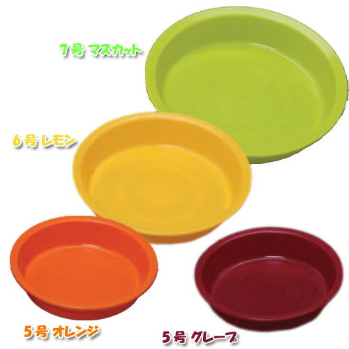 【在庫限り】カラー 受皿 5号