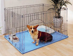 トレーニングに便利なトレー付きシステムサークル【送料無料】システムサークルトレー付き　ST-...