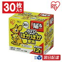 【あす楽】カイロ 貼る 30枚入り PKN-30HR 貼るカイロ 30枚入り 防寒 腰 脇 背中 冬 持ち運び 寒さ対策 あったか グッズ 衣服 服 冷え 使い捨てカイロ 使い捨て カイロ ぽかぽか家族 レギュラーサイズ アイリスオーヤマ アイリスカイロ 送料無料