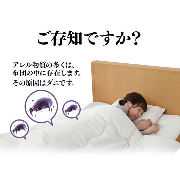 ふとん乾燥機カラリエ タイマー付 布団クリーナー FK-C3 ピンク+強力ふとんクリーナー IC-FAC3 布団 乾燥 ベッド かんそう 家電 乾燥機 梅雨対策 湿気 除湿 ふとん そうじ 掃除機 吸引 クリーナー アイリスオーヤマ