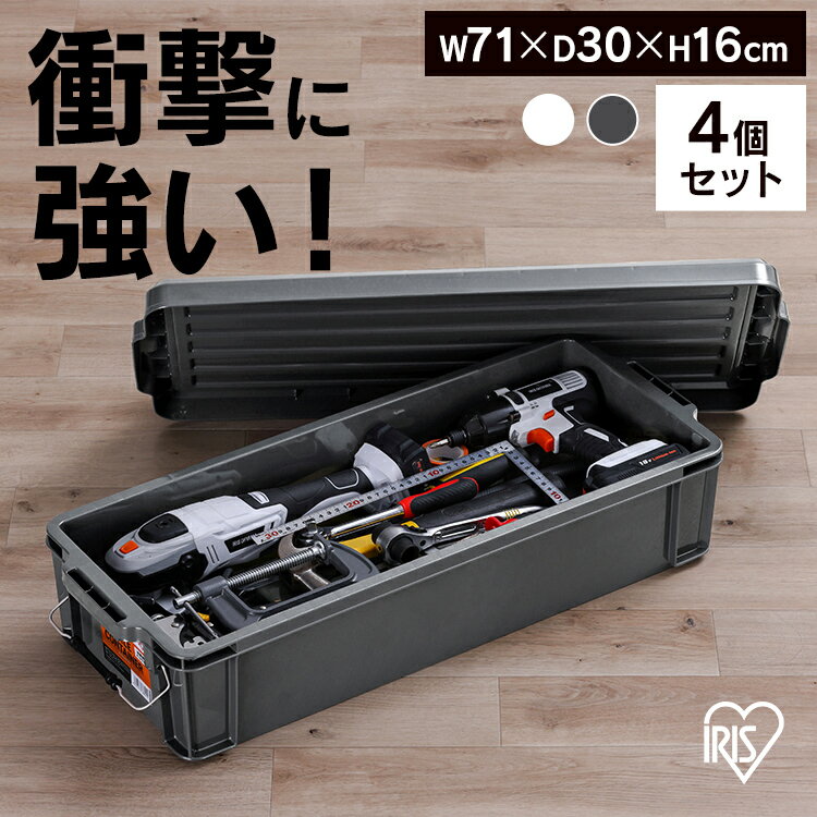 【最大400円OFFクーポン】【4個セット】コンテナ 金属バックル 収納 バックルコンテナ BL-20LR クリア チャコールグレー まとめ買い コンテナ 金属バックル 収納 ボックス スタッキング BOX 保管 防災 プラスチック 箱 持ち運び 積み重ね フタ付き アイリスオーヤマ