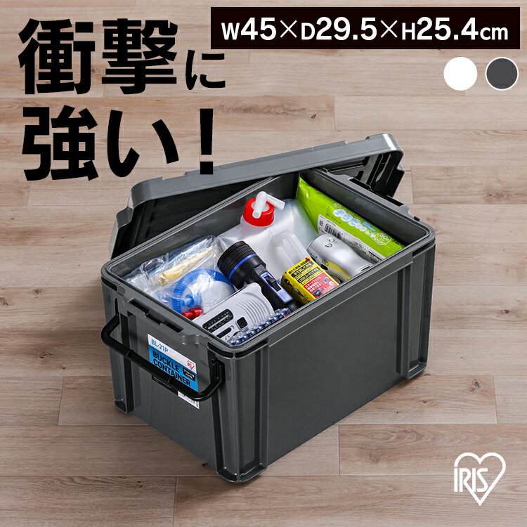 [400ߥݥ!餷˥ץ饹]ƥ ץХå Ǽ Хå륳ƥ BL-21P ꥢ 㥳륰졼 ƥ ץХå Ǽ ...