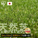 [ポイント2倍/9日20時～10日]人工芝 2m×10m 防草シート 防草シート不要 アイリスオーヤマ 2m×10m 芝丈30mm 日本製 人工芝マット 20平米 国産 防草シート付 リアル人工芝 ベランダ 防草 防草人工芝 雑草対策 芝生 芝丈3cm U字ピン48本 RP-30210 U字釘