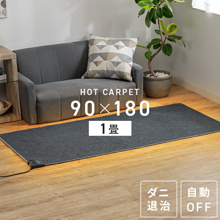 ホットカーペット 1畳 カーペット 電気カーペット 本体 HC-IR100 90×180cm 電気カーペット 1畳 マット ホットマット カーペットホット 1人用ホットカーペット 床暖房カーペット 一畳 暖房 足元暖房 ダニ対策 TEKNOSのサムネイル