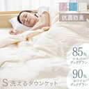 ダウンケット 掛け布団 抗菌防臭加工 WDD90%・SDD85%