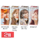 【2個セット】ブリーチ 髪 髪の毛 リーゼ ブリーチオンカラー 花王 リーゼ セルフカラー ヘアカラー パステルカラー 色落ち対策 泡 低アルカリ処方 トリートメントつき Liese Rオレンジ フランネルFベージュ スイートピーグレージュ さくらピンク