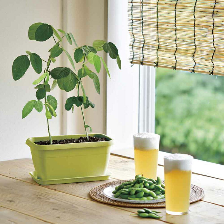 ���ݥ��å� ���� ������ ��Ʀ �ߥ˥ȥޥ� �ߥ˥ҥޥ�� ���ݥ��å� �����ڱ� �鿴�� ���� ���å� �����ڱ७�å� ��� �� �Ҷ� ��ͳ���� �ץ쥼��� ���ե� ����ƫ�� ���󥸥祤�ץ�󥿡� ENJOY PLANTER GD-1044 GD-931 GD-932 *