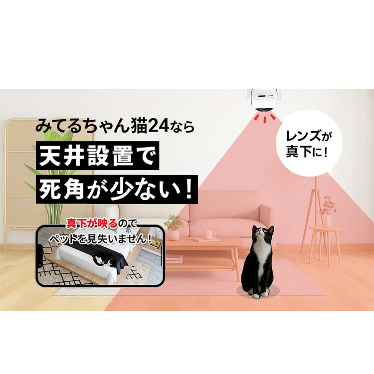 防犯カメラ 屋内 家庭用 WTW 塚本無線 みてるちゃん猫 24 ペットカメラ 自動追尾 見守りカメラ 会話 できる 双方向 通 unidy-11170025 ゆにでのこづち サンプル画像3