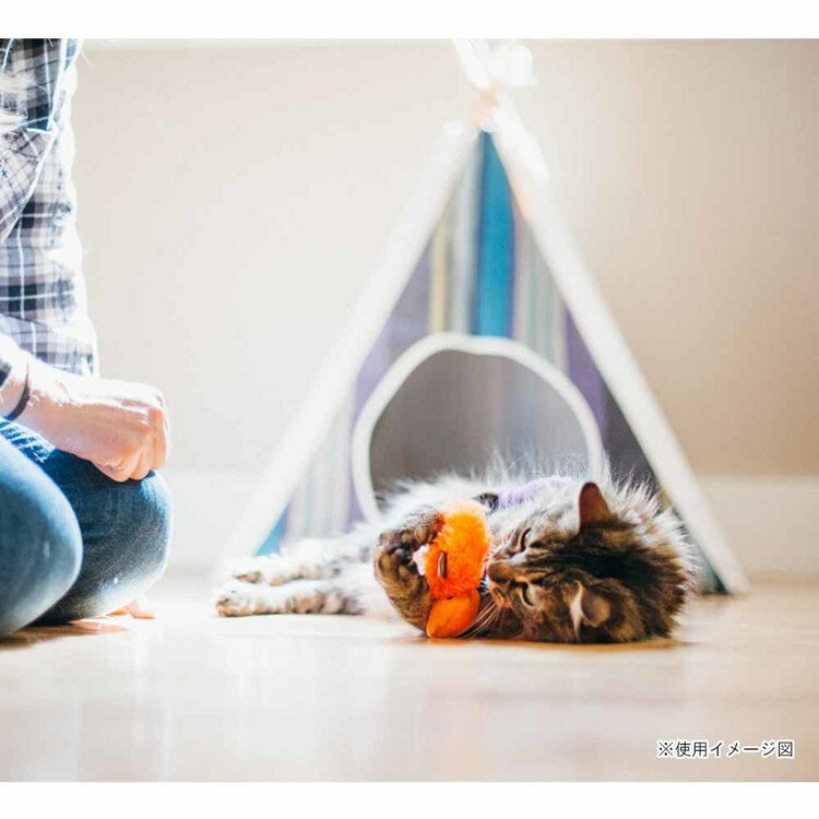 �ե����饤��ե�󥸡� ����2�ĥ��åȡ� ǭ�Ѥ������ ǭ�Ѥ̤������ ����åȥ˥å� ǭ���� ���򤤤������ �İ���������� ������˴�Ф�� �ץ쥼��� ���ʼ� �ǥ������� �롼�����[2603SE]