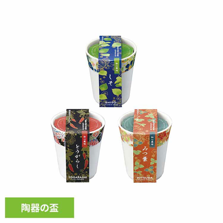 和心薬味栽培キット 栽培セット 聖新陶芸 しそ とうがらし みつ葉