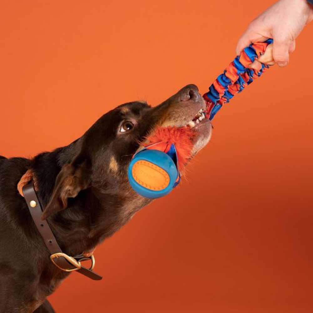 �����������ʥ� ��Tug-E-Nuff�� �ݥ��åȥѥ�ܡ��� �ե������ե��� ����� 10674-O�ڥå� �ڥå����� �� ���� ����ĥ��ä���� ������ĥ��礤 �������� �����ȥ쥹��� �ҤäѤ�ä���� �ɥå����[2603SE]