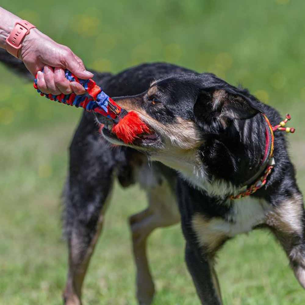 �����������ʥ� ��Tug-E-Nuff�� �ݥ��åȥե������ե��� ����� 9707-O�ڥå� �ڥå����� �� ���� ����ĥ��ä���� ������ĥ��礤 �������� �����ȥ쥹��� �ҤäѤ�ä���� �ɥå����[2603SE]