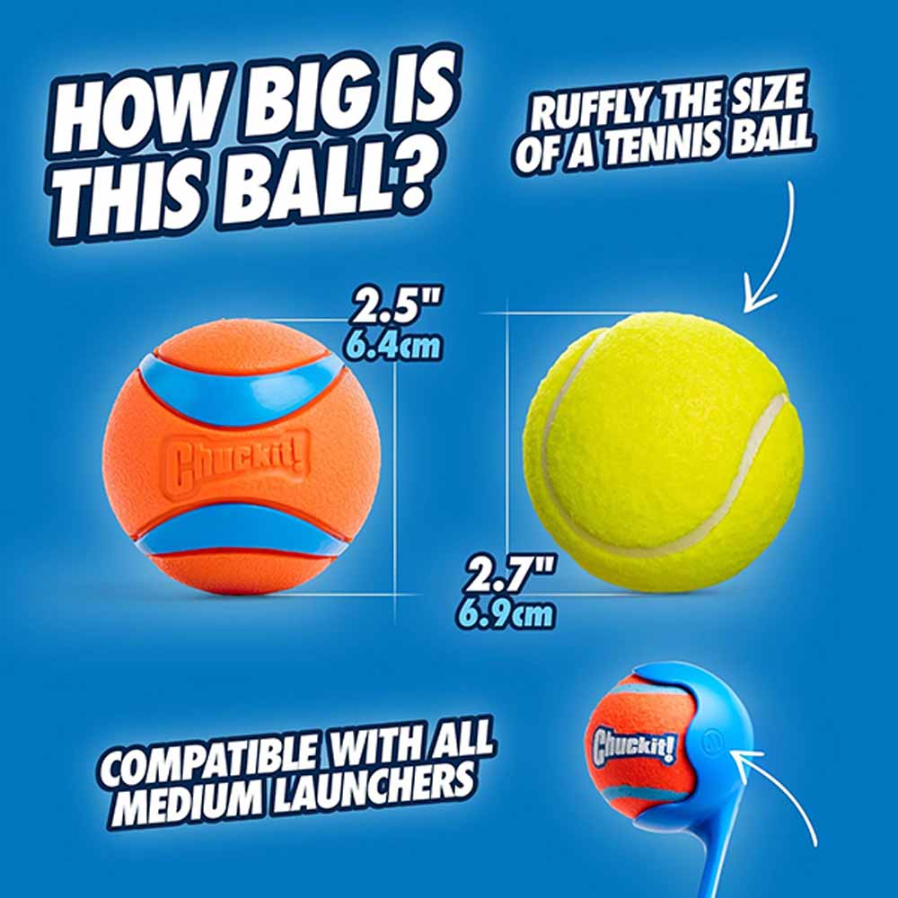 �����400�ߥ����ݥ����㥭�å� ��Chuckit���� ����ȥ�ܡ��� �ߥǥ����� 170015D�ڥå� �ڥå����� �� ���� �ܡ���ͷ�� ���ѥܡ��� ����ʤ� �����ȥ쥹��� �ɥå���� �ܡ�������㡼