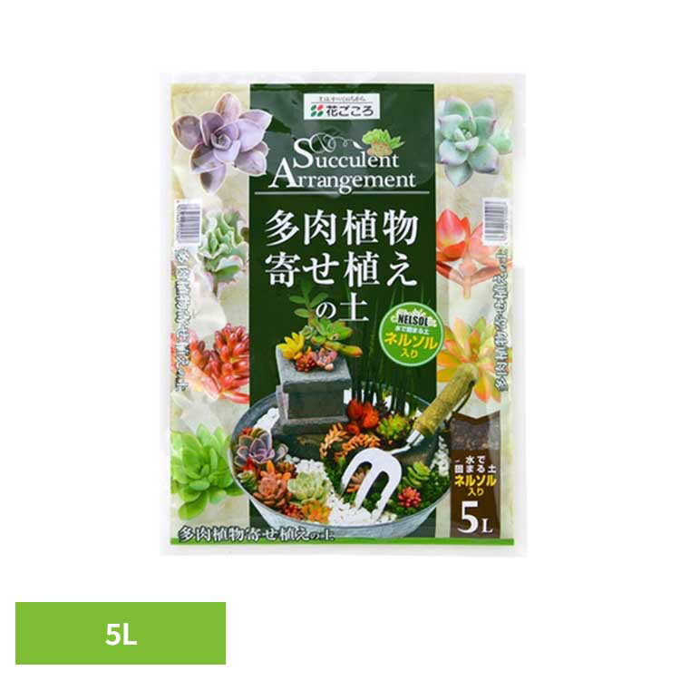 樂天商城 - 多肉植物寄せ植の土（ネルソル入） 5L 培養土 用土 ネルソル 固まる 耐暑性 植え替え 寄せ植え 多肉植物用 花ごころ