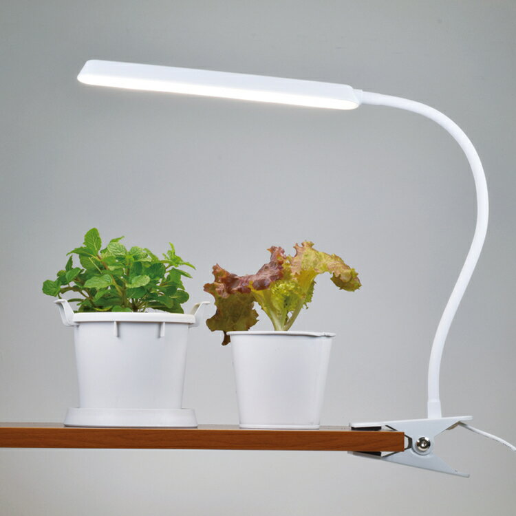 植物育成ライト LED クリップ式 420lm 5段階調光 オートタイマー 角度調整 白色LED...