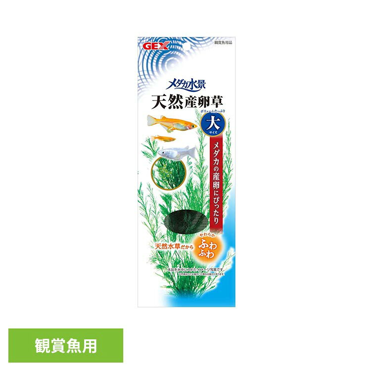 天然シダを染色して乾燥させた、魚に優しい天然水草。●商品サイズ（cm）幅約9.5×奥行約1.8×高さ約25●商品重量約0.012kg●材質シダ・おもり（鉛）（検索用：観賞魚 観賞魚用品 観賞魚用アクセサリー用品 4972547026279）最強翌日配送対象商品に関するご案内 最強翌日配送対象商品・対象地域に該当する場合は最強翌日配送マークがご注文カゴ近くに表示されます。 最強翌日配送可能なお支払方法は【クレジットカード、代金引換、全額ポイント支払い】のみとなります。 下記の場合は最強翌日配送対象外となります。 ・15点以上ご購入いただいた場合 ・時間指定がある場合 ・ご注文時備考欄にご記入がある場合 ・決済処理にお時間を頂戴する場合 ・郵便番号や住所に誤りがある場合 ・最強翌日配送対象外の商品とご一緒にご注文いただいた場合 ・お届け先住所文字数が40文字以上の場合【置き配規約について】