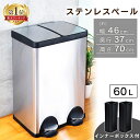 ゴミ箱 ふた付き スリム ゴミ箱 60L STPL-60 ごみ箱 ふた付き ペダル ダストボックス ステンレスペール ペール スリム 60リットル 縦型 キッチン 蓋付き フタ付き 大容量 リビング ペダル付き シンプル コンパクト トイレ 洗面所 一人暮らし