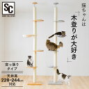 木登りキャットタワー KCCT‐244送料無料 キャットタワー 猫タワー 突っ張り キャットランド キャットポール 猫ツリー 木製 省スペース 爪とぎ 多頭飼い...