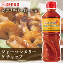 ケチャップ 洋食 調味料 本格的ジャーマンカリーケチャップ カレー ケチャップ スパイシー ポテト ソーセージ 卵料理 チーズ じゃがいも 調味料 フルーティ ケンコーマヨネーズ 