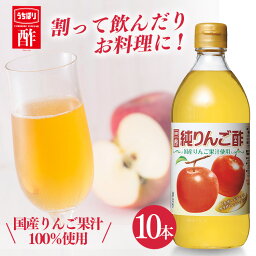 酢 和食 調味料 飲みやすい【10本】純りんご酢 500ml 送料無料 内堀 アップルビネガー 国産りんご酢 アップルサイダービネガー 【D】