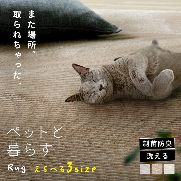 楽天市場】シャネル（カーペット・ラグ｜カーペット・マット・畳