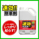 【送料無料】【4本セット】速効除草剤 4L SJS-4L ア...