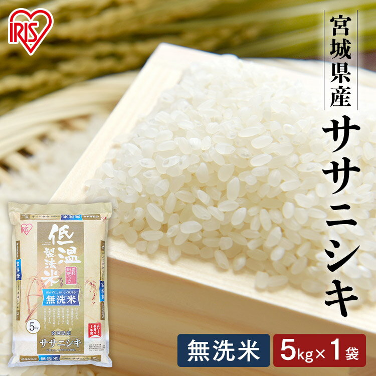 米 無洗米 5kg 送料無料