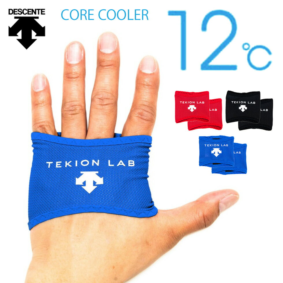 【ポイント5倍】(8/10迄) デサント コアクーラー (両手用、左右1セット) TEKION LAB 12度 クーリング ハンディ 手に持つ 保冷剤 リストバンド 蓄冷剤 夏 暑 通勤 通学 スポーツ DAT9000