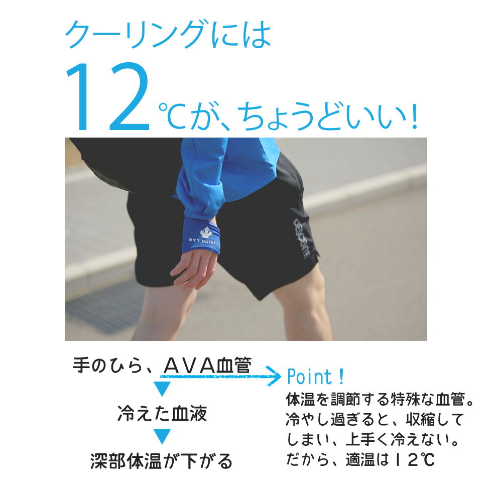 【ポイント5倍】(8/10迄) デサント コアクーラー （両手用、左右1セット） TEKION LAB 12度 クーリング ハンディ 手に持つ 保冷剤 リストバンド 蓄冷剤 夏 暑 通勤 通学 スポーツ DAT9000通販格安セール情報　楽天　通販