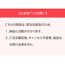 デサント製パンツパッド加工 1箇所 プション 受注生産品 3