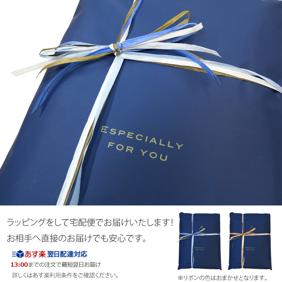 ルコック スポルティフ メンズ ハーフジップ 半袖 Tシャツ 誕生日 ギフト ドライ 吸汗 速乾 無地 ワンポイント シンプル サスティナブル ポロシャツ 2023 春夏 モデル QMT31ZZ