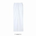 ナガイレーベン パンツ 白衣 看護 医療 介護 スラックス レディース FT4408