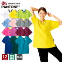 FOLK PANTONE 7042SC XNu  jp ×pXNu  fBJ NjbN f^   J[XNu tH[N