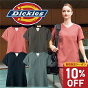 ディッキーズ Dickies スクラブ 白衣 半袖 レディース ストレッチ おしゃれ 女性 7071SC FOLK 医療 かっこいい 病院 歯医者 整体 クリニック 医師 看護師 介護 ドクター ナース 手術着 制服