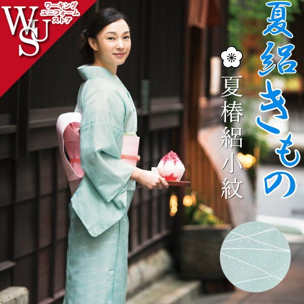 樂天商城 - 和服きもの 絽小紋 女性着物 K-3682 斜線に露 旅館 中居 料亭 サーヴォ