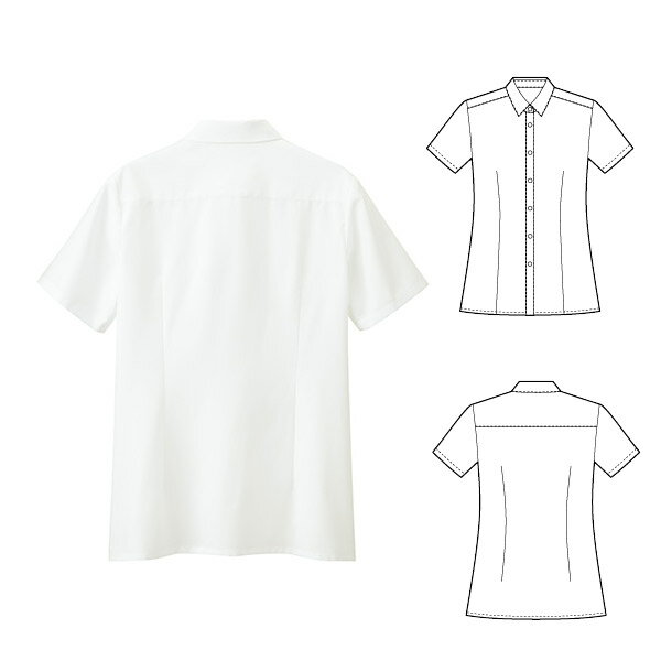 ��̳��Ⱦµ����ĥ֥饦�� AR1685 �ѥե����ȥ� ����ե��ԥ�