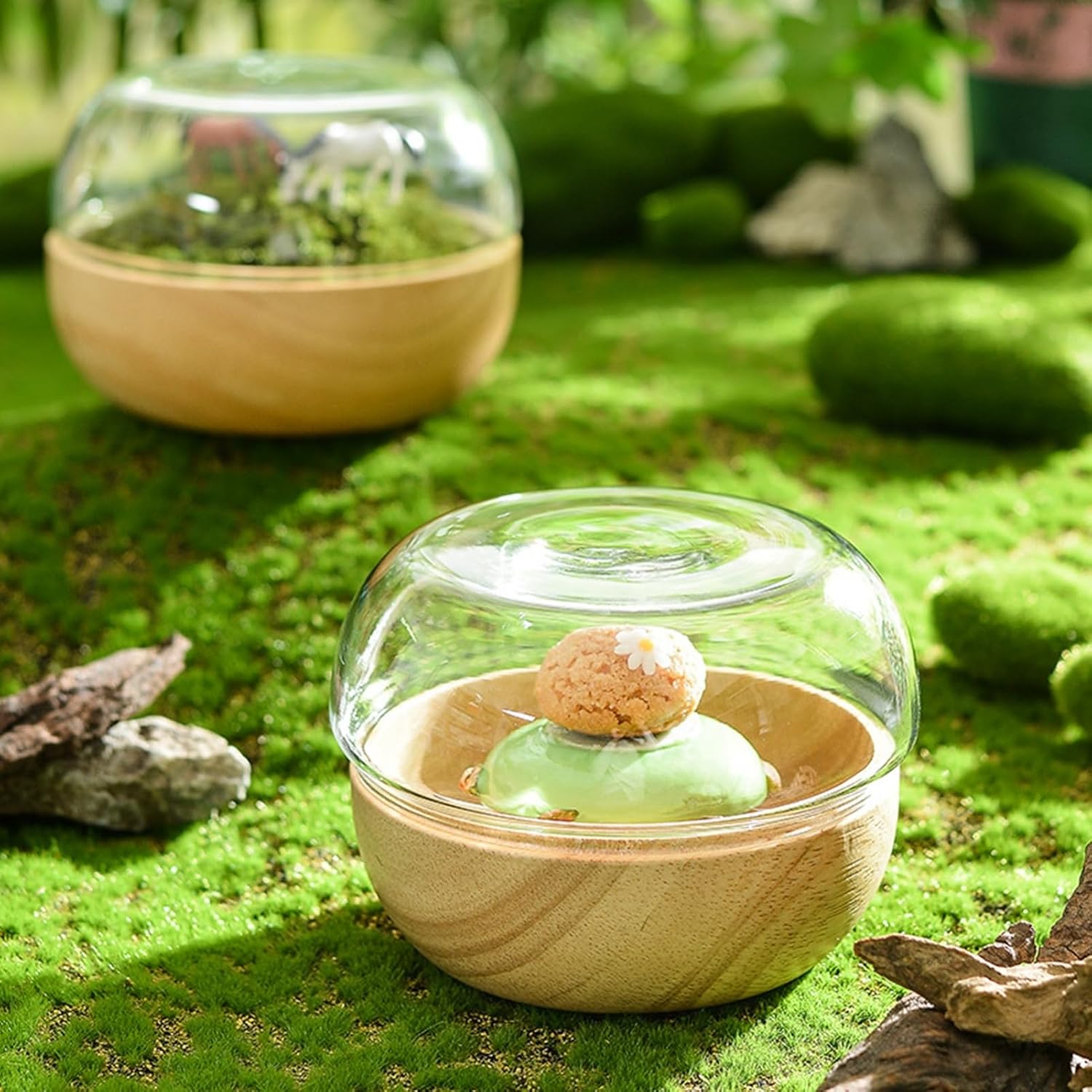 ガラス製ドーム蓋付ケーキスタンド 木製 和風 フルーツ お菓子 収納 パーティー アフタヌーンティー カップケーキ ディスプレイ プラッター