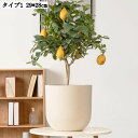観葉植物用鉢 園芸用品 深型 アンティーク 室内植木鉢 プラントポット お洒落な植木鉢 プランター 底穴付き 29*28cm サボテンポット 背の高い植木鉢 大きいプラントポット 排水孔付き 大容量 装飾用プランター ガーデニング用 おしゃれな植木鉢