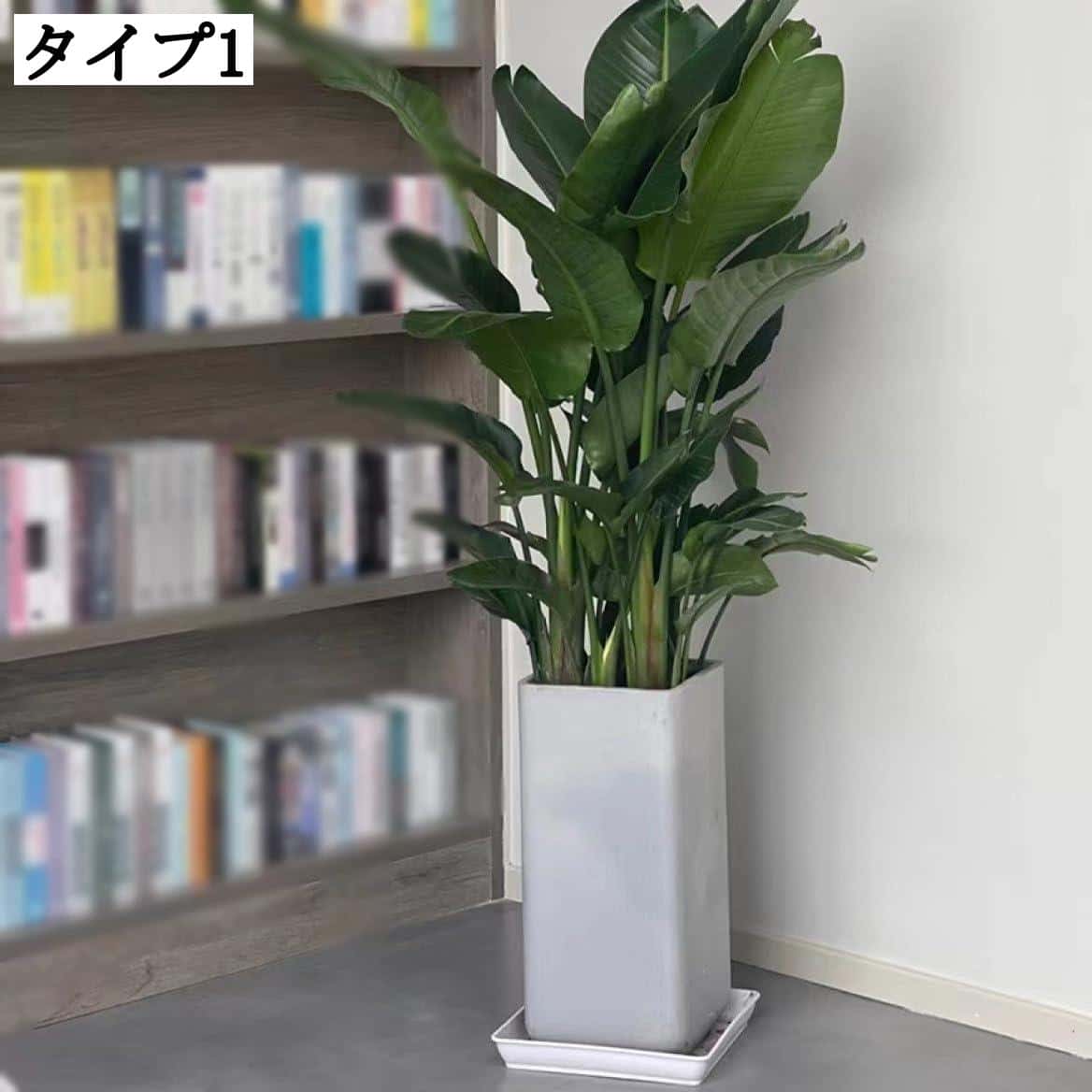 室内用セメントプランター 深型 S 角型 野菜栽培 観葉植物 大型植木鉢 排水穴付き シンプル アンティー..