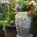 セメント鉢 ガーデニングインテリア 背の高い植木鉢 多肉植物容器 大型 観葉植物植木鉢 装飾プランター フラワーポット ガーデンポット 園芸用品 インテリア鉢 ...