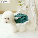 犬 猫 ワンピース グリーン XS 春夏 秋冬 かわいい ペット洋服 ドレス スカート 小型犬 中型犬 日焼け防止 記念撮影 散歩 お出かけ 夏涼しい 夏服 収納 春夏ワンピース 通気性 ペットウェア 柔らかい 脱毛保護 ドッグウェア おしゃれ