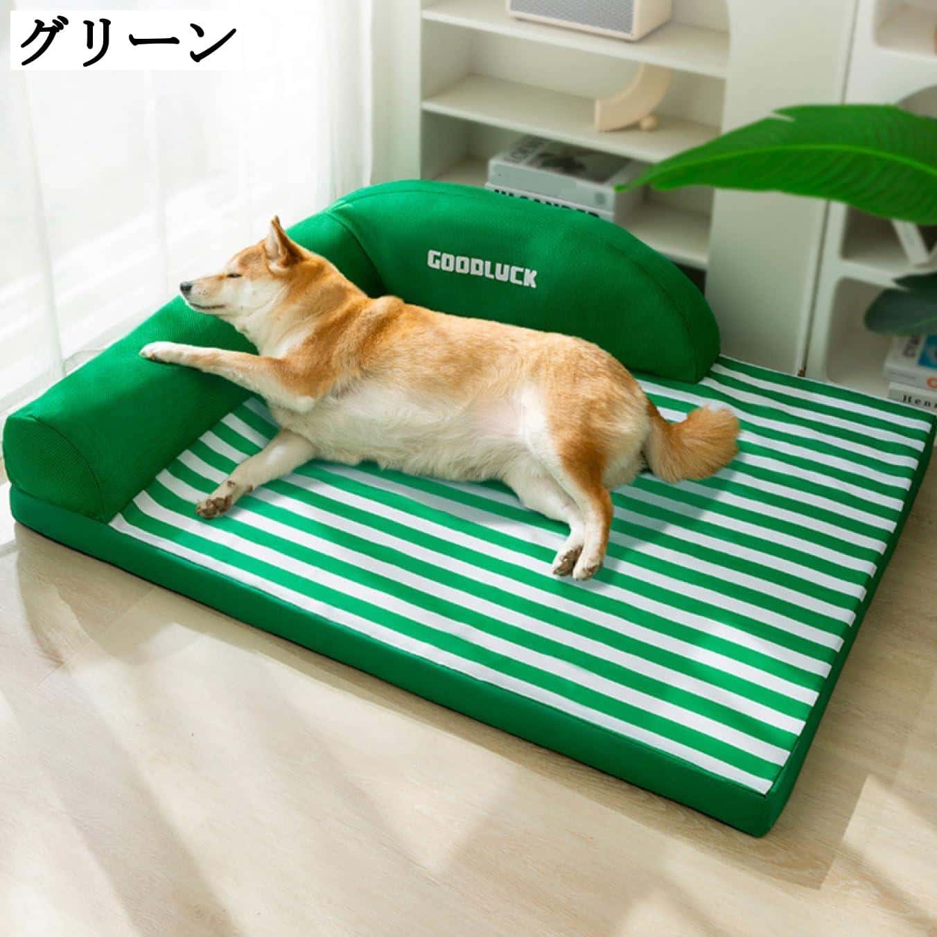 猫用ベッド 犬用ペットベッド ふわふわクッション 小型犬 中型犬用 55*40cm おしゃれ ぐっすり眠れる キャットソファ 滑り止め 洗える 暖かい ペットクッション 夏用 大中小型犬用 柔らかい 65*50cm 通年 通気性抜群 中小型犬/猫用
