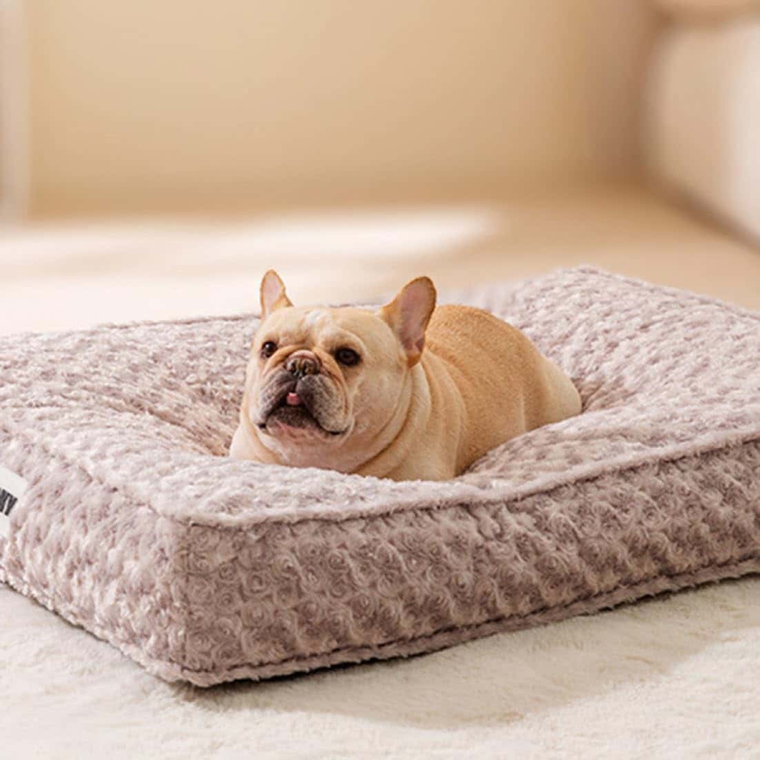 �ڥåȥ٥å� �� ������ �淿�� 45x35x6 �����륷������ ǭ�ѥ٥å� ��ǯ �ڥåȥ��å���� ������ �դ�դ� �ɿ� �߷� ���� �ѳ��� �ڥåȥޥå� ���å���� �������� ���ä���̲�� ǭ���å���� 55x40x7 ���ե��� �դ��դ� �Ȥ���