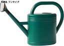おしゃれな大容量スプリンクラー水さし 霧吹きジョウロ プラスチック製 持ち運び便利 長い注ぎ口 ウォーターピッチャー 園芸用 散水 観葉植物用 屋内屋外家庭用 10L (グリーン)