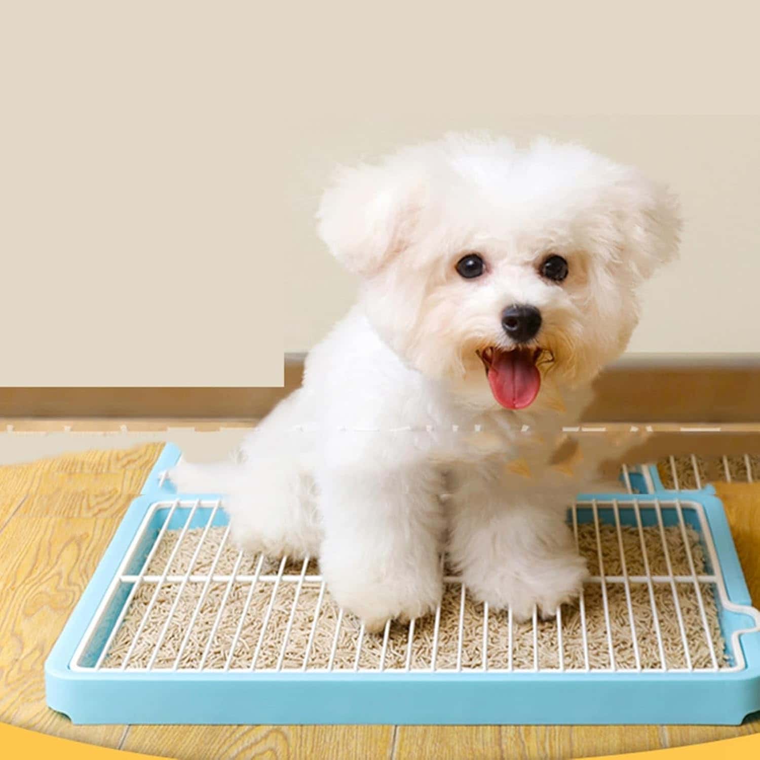 楽天市場】犬 ステンレス トイレの通販 楽天市場】犬 ステンレス トイレの通販