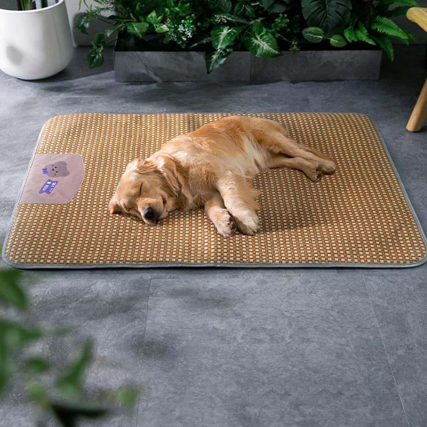 Rakuten - ペットマット 犬用 ベッド マット 冷感 夏用 猫用 大型犬用 通気性 折り畳み 持ち運び便利 涼しい 滑り止め 室内 お手入れ簡単 寝床 ペット用品