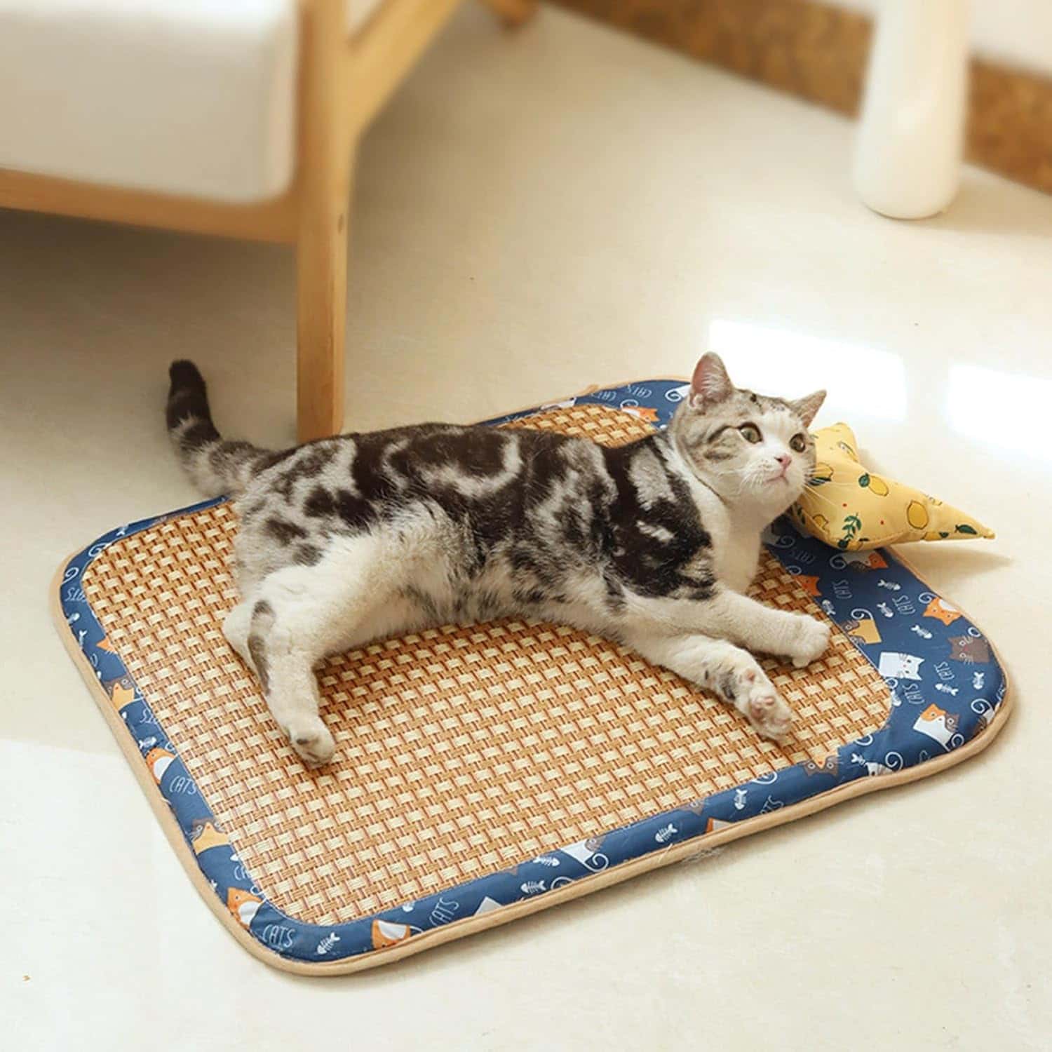 Rakuten - 犬用ベッド 夏用 おもちゃ付き ペットマット クール マット 滑り止め付き 室内用 お手入れ簡単 大型猫 中型犬用 枕付き スクエア型