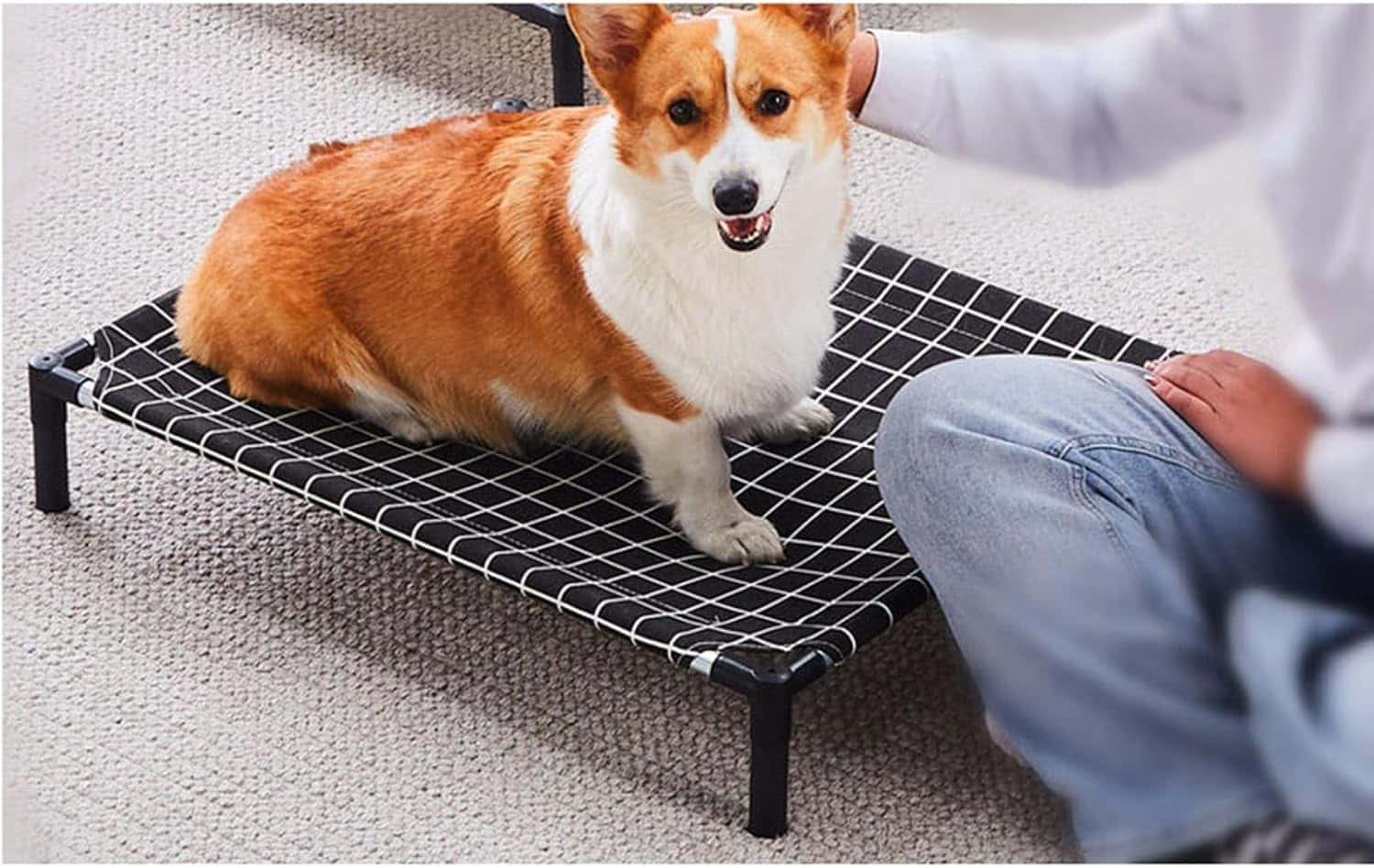 高架式犬用ベッド 脚付きコット キャンプベッド 屋外ベッド 冷却ペットベッド 取り外し可能な天蓋 ポー..